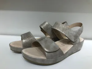 ABZ23587 PEWTER