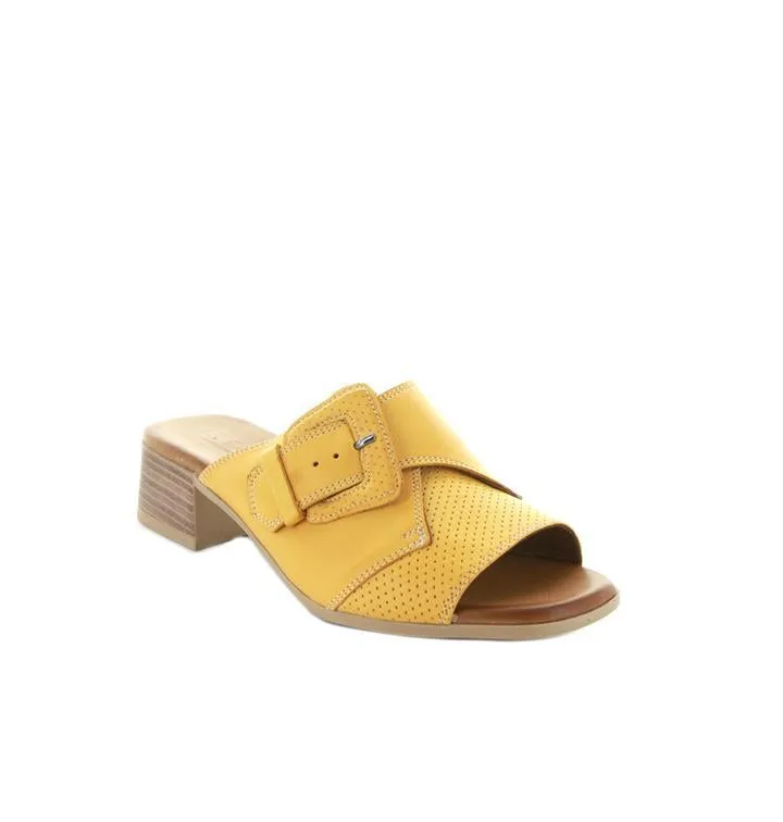 Durban - Mustard