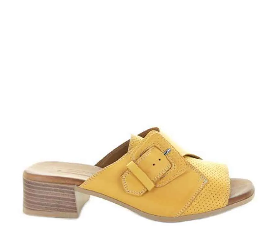 Durban - Mustard