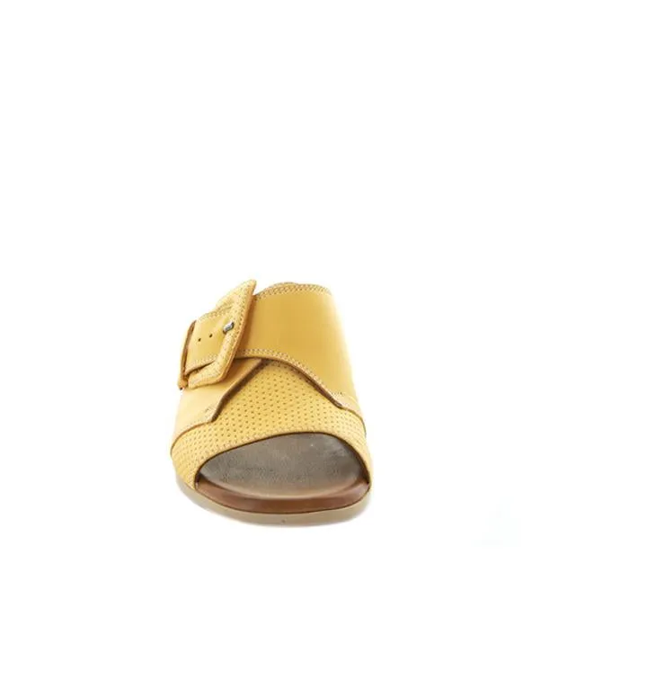 Durban - Mustard