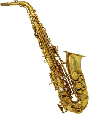Eastern music Alto Saxophone ala Yanagisawa A-991