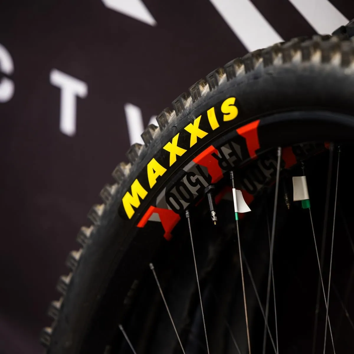 MAXXIS Ikon - 2 Pack - 3C MaxxSpeed - 29", 27.5" - EXO - Tubeless | Super Versatile Cross Country Tread