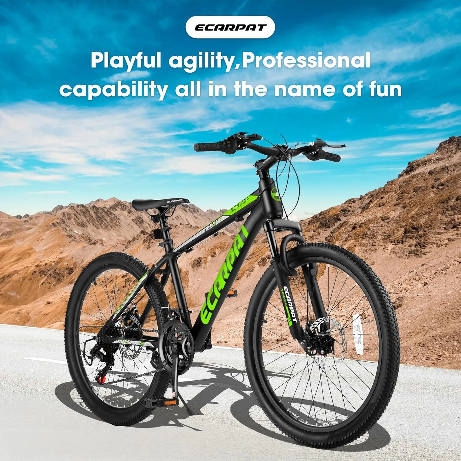 Mountain Bike 24 Inch Wheels, 21 Speeds with Mechanical Disc Brakes Aluminum Frame Suspension MTB Bikes Mountain Bicycle for Teenagers
