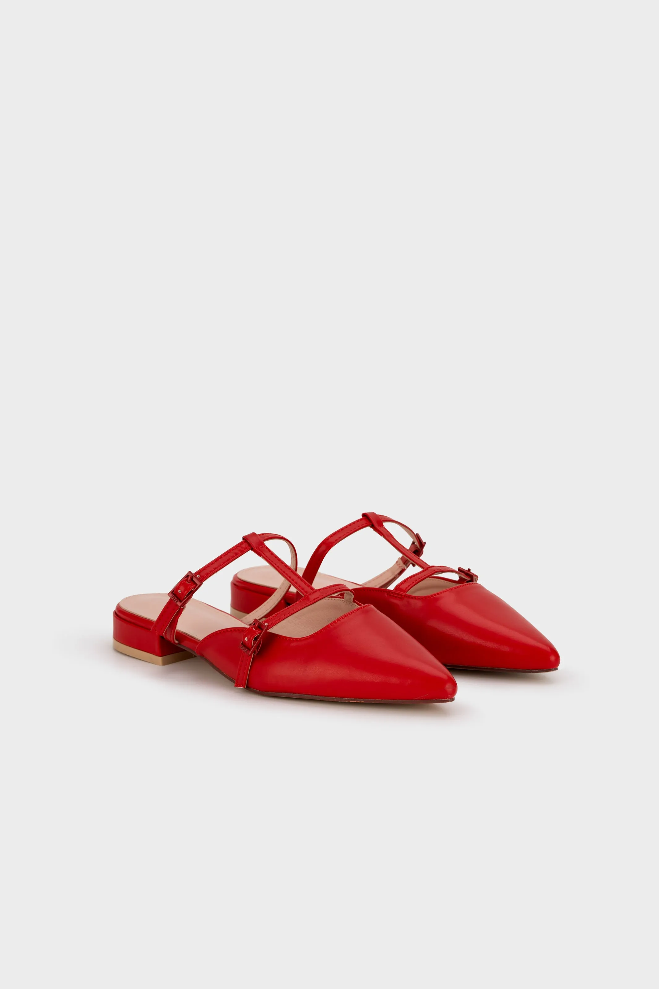 POINTY TOE BUCKLE STRAP LOW HEEL MULE
