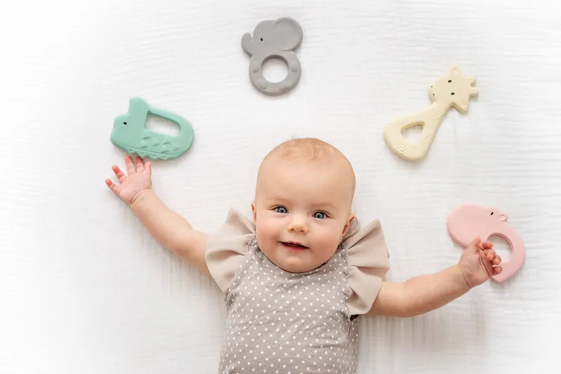 Rubber Crocodile Flat Teether