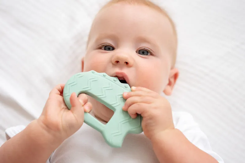 Rubber Flat Teether | CROCODILE