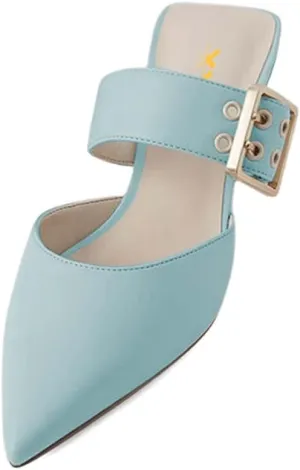 XYD Women Chic Mid Kitten Heel Slip On Slide Mules Buckled Backless Closed Pointed Toe Sandals Summer Comfy Outdoor Dress Shoes